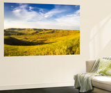 Panoramic of Bitter Creek Wilderness Study Area Near Hinsdale  Montana  USA