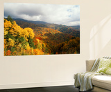 Great Smoky Mountains National Park in Autumn from Thomas Ridge  North Carolina  USA
