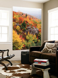 View of Autumnal Rocks  Blue Ridge Parkway  North Carolina  USA