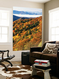 Deep Creek Valley  Great Smoky Mountains National Park  North Carolina  USA