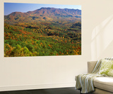 Mt Cammerer  Great Smoky Mountains National Park  North Carolina  USA