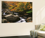 Oconaluftee River  Great Smoky Mountains National Park  North Carolina  USA