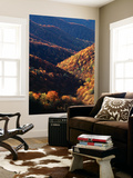 Great Smoky Mountains National Park  North Carolina  USA