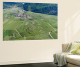 Apple Orchards  Farmland in Vinschgau  South Tyrol  Italy
