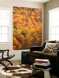 Great Smoky Mountains National Park in Autumn from Thomas Ridge  North Carolina  USA