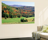View of Peacham Hills in Autumn  Northeast Kingdom  Vermont  USA