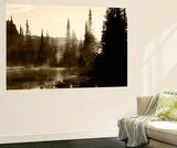 Sunbeam and Trees Reflecting in Lake  Mount Rainier National Park  Washington  USA