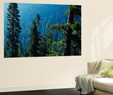 View of Mt Rainier National Park  Washington  USA