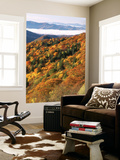 Deep Creek Valley  Great Smoky Mountains National Park  North Carolina  USA