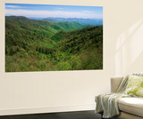 Thomas Divide  Great Smoky Mountains National Park  North Carolina  USA