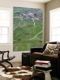 Apple Orchards  Farmland in Vinschgau  South Tyrol  Italy