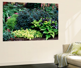 Perennial Gardens  Sammamish  Washington  USA