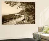 Linn Cove Viaduct  Blue Ridge Parkway National Park  North Carolina  USA