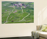 Apple Orchards  Farmland in Vinschgau  South Tyrol  Italy