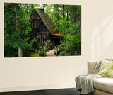 Cradle of Forestry in America  Pisgah National Forest  North Carolina  USA