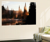 Sunbeam and Trees Reflecting in Lake  Mount Rainier National Park  Washington  USA