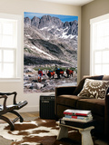 Women Hiking in Bridger Teton National Forest  Wyoming  USA