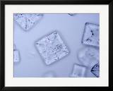 Salt Crystals  LM X25