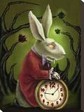 Levin White Rabbit