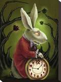 Levin White Rabbit