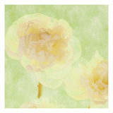Peoni Study I