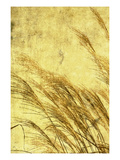Grass Series I