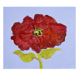 Red Flower