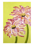 Two Pink Flowers