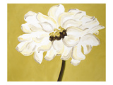 White Flower on Ochre