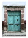 Aqua Door