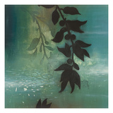 Hanging Garden B