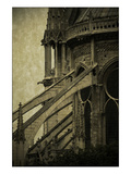 Notre Dame Detail I