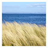 Willapa Bay 2