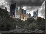 Central Park View