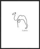 The Camel
