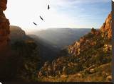 Grand Canyon II