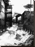 Rivers Collide
