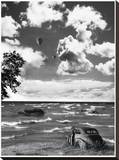 Natures Drive-In