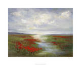 Red Poppy Field