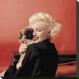 Marilyns Puppy