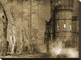 Driftwood Manor