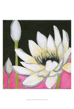 Bliss Lotus III