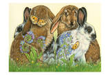 Bunnies and Butterflies