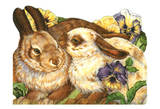 Cuddle Bunnies II