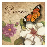 Dream