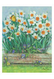 Flower Bed