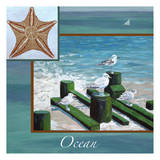 Ocean Starfish