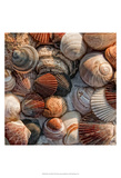 What the Shell