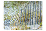 Sea Oats II