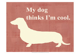 My Dog Thinks I'm Cool